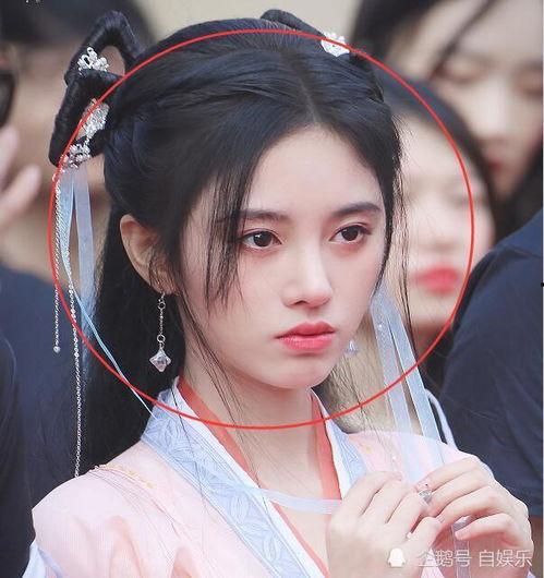 明星爆料白鹿视频大全集,明星爆料背后的精彩瞬间