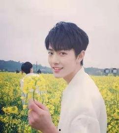 娱记爆料杨紫肖战视频,幕后真相引网友热议